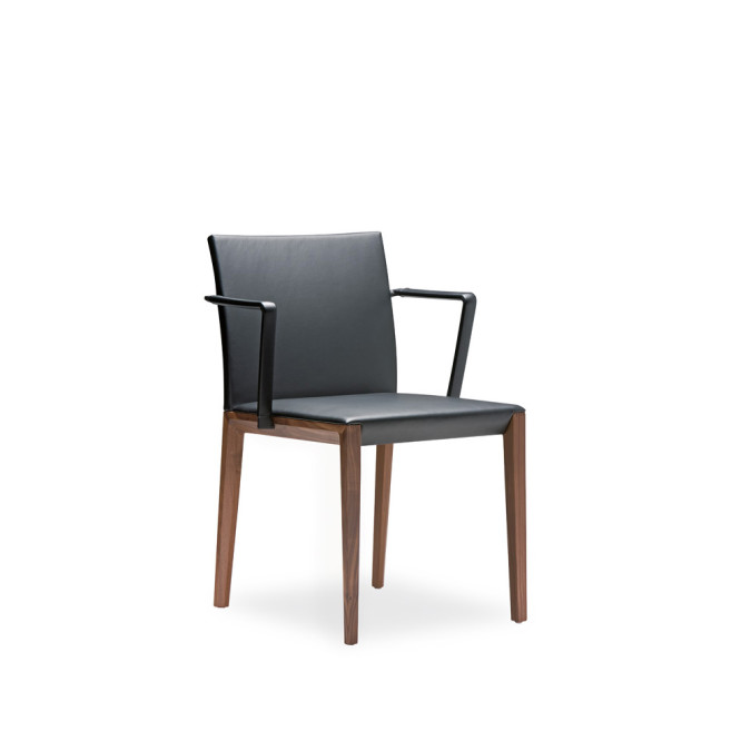Andoo Dining Chair