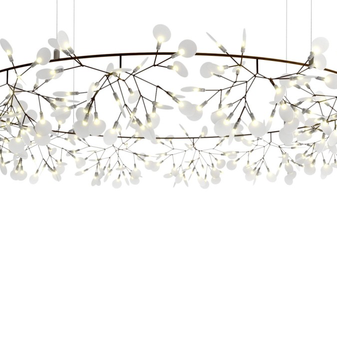 Heracleum – The Big O