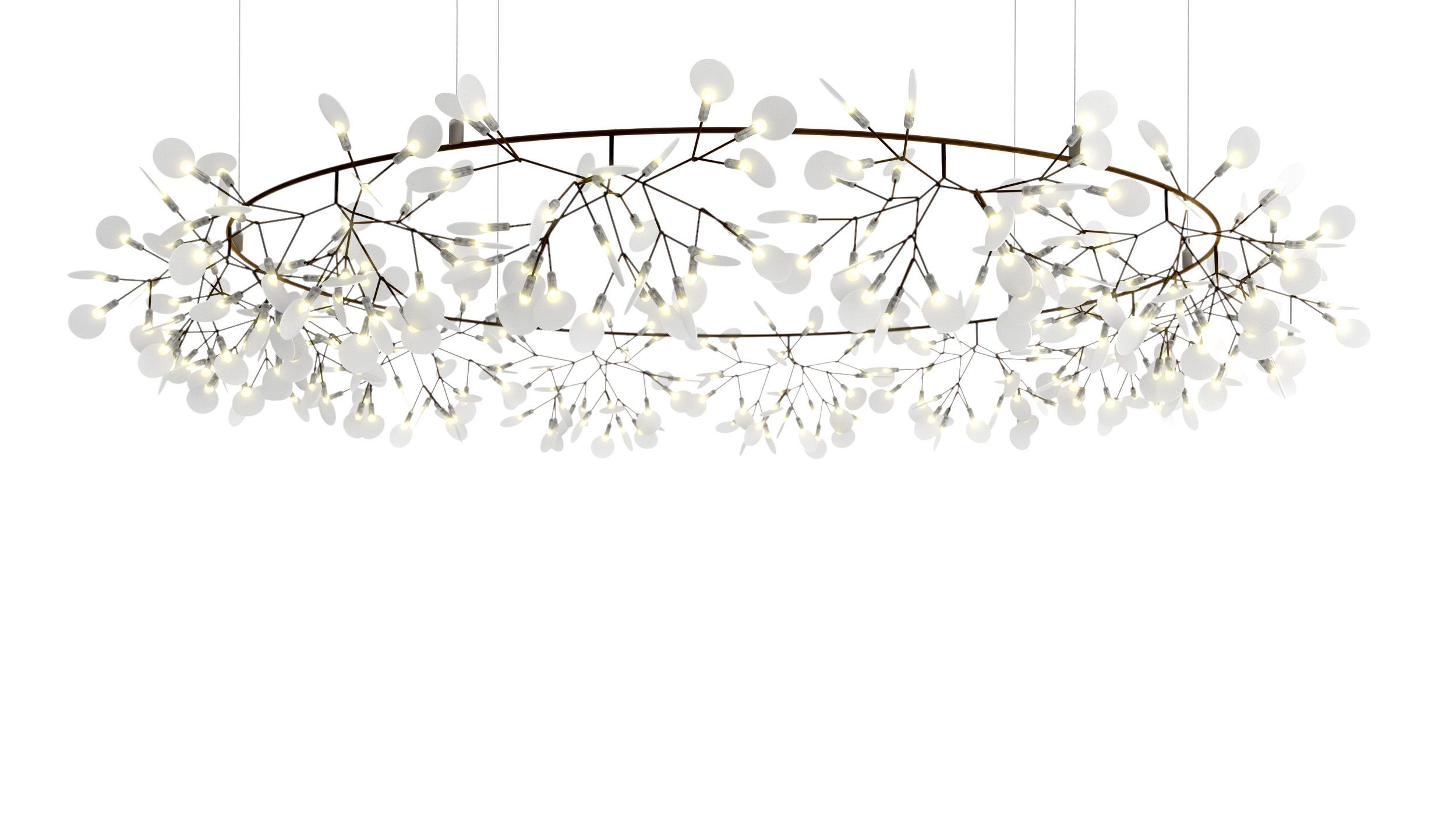 Heracleum – The Big O