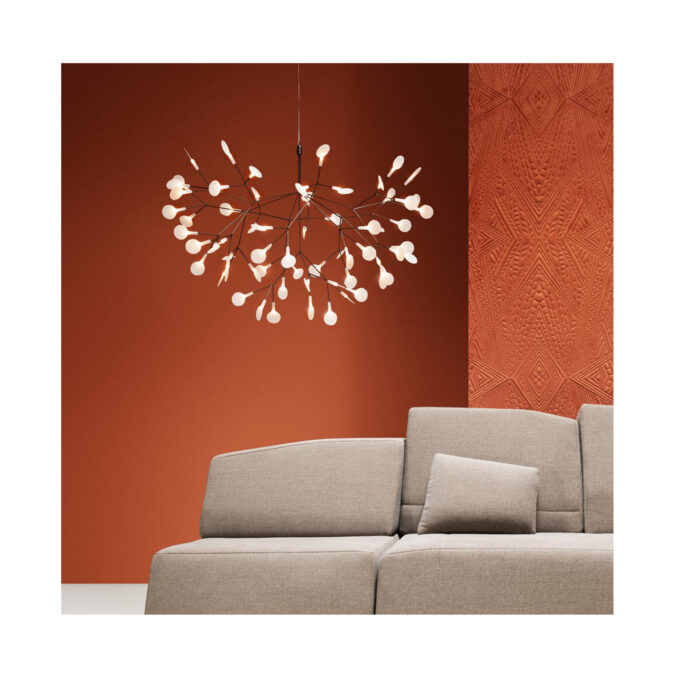 Heracleum Chandelier