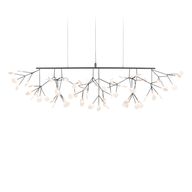 Heracleum III Linear